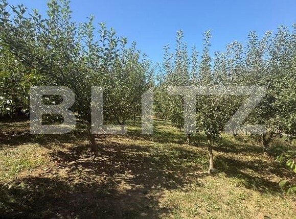 Teren de vânzare Periferie - 177127TV | BLITZ Suceava | Poza6