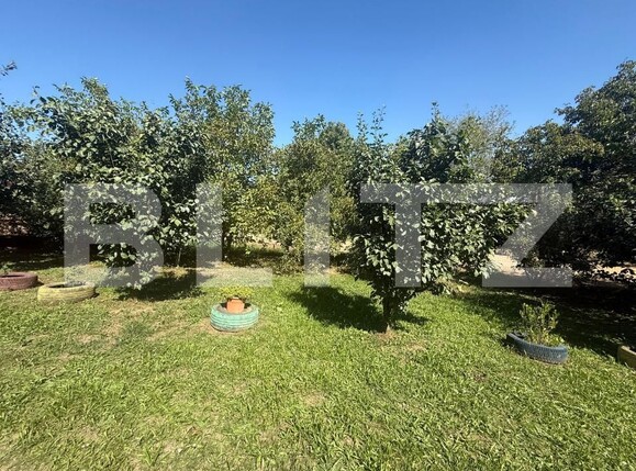 Teren de vânzare Periferie - 177127TV | BLITZ Suceava | Poza8