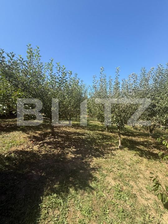 Teren de vânzare Periferie - 177127TV | BLITZ Suceava | Poza6