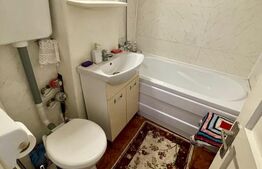 Garsonieră 1 Cameră - Etaj 1 - Burdujeni 