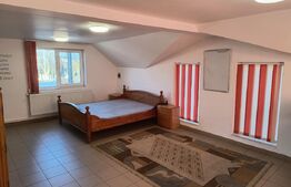 Spațiu comercial multifuncțional, 52 mp, zona Burdujeni