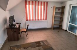 Spațiu comercial multifuncțional, 52 mp, zona Burdujeni