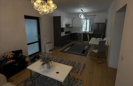 Casa individuala de inchiriat, 2 camere, zona Centru