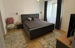 Casa individuala de inchiriat, 2 camere, zona Centru