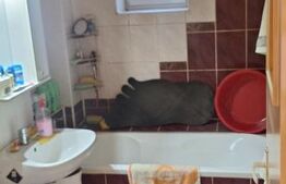 Apartament cu 2 camere, etaj intermediar, Obcini