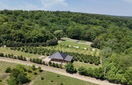 Spațiu comercial de vânzare Nord Vest - 185046SVC | BLITZ Suceava | Poza4