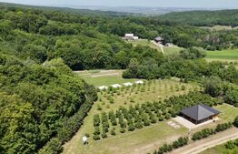 Glamping, piscicultură și turism spiritual - totul într-un singur loc