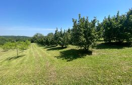 Glamping, piscicultură și turism spiritual - totul într-un singur loc