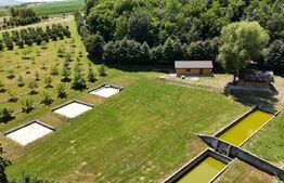 Glamping, piscicultură și turism spiritual - totul într-un singur loc