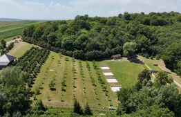 Glamping, piscicultură și turism spiritual - totul într-un singur loc