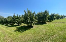 Glamping, piscicultură și turism spiritual - totul într-un singur loc