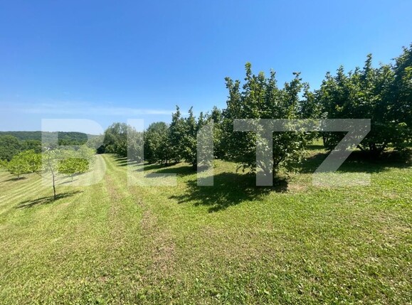 Spațiu comercial de vânzare Sud Est - 177538SVC | BLITZ Suceava | Poza19