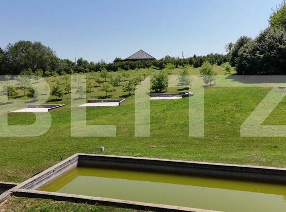 Spațiu comercial de vânzare Sud Est - 177538SVC | BLITZ Suceava | Poza13