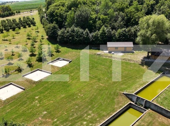 Spațiu comercial de vânzare Sud Est - 177538SVC | BLITZ Suceava | Poza11