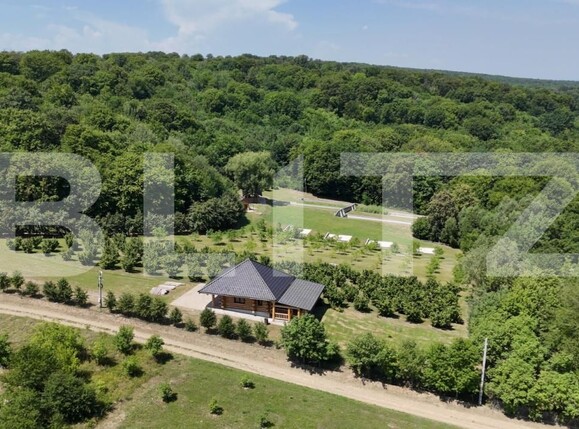 Spațiu comercial de vânzare Sud Est - 177538SVC | BLITZ Suceava | Poza1