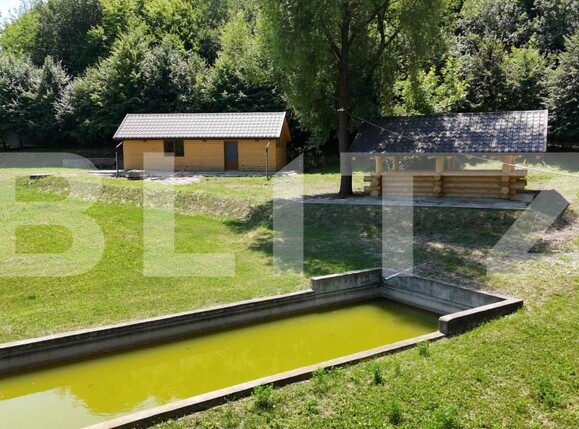 Spațiu comercial de vânzare Sud Est - 177538SVC | BLITZ Suceava | Poza12