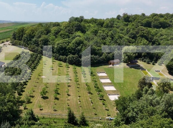 Spațiu comercial de vânzare Sud Est - 177538SVC | BLITZ Suceava | Poza3