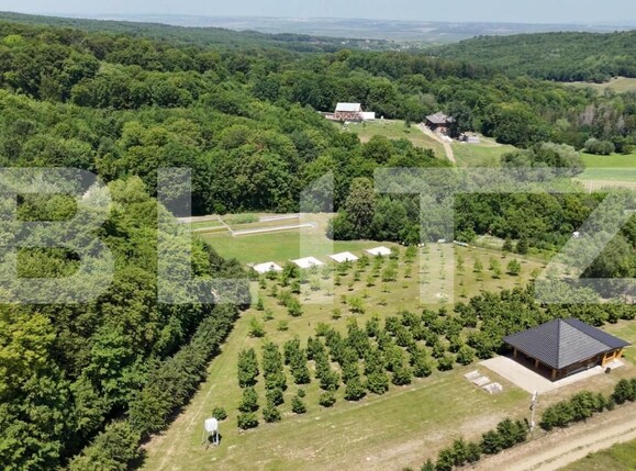 Spațiu comercial de vânzare Sud Est - 177538SVC | BLITZ Suceava | Poza2