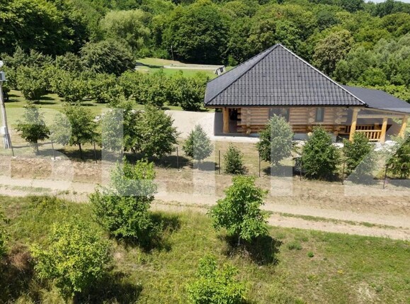 Spațiu comercial de vânzare Sud Est - 177538SVC | BLITZ Suceava | Poza5