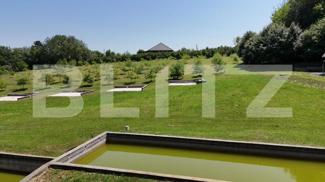 Spațiu comercial de vânzare Sud Est - 177538SVC | BLITZ Suceava | Poza13