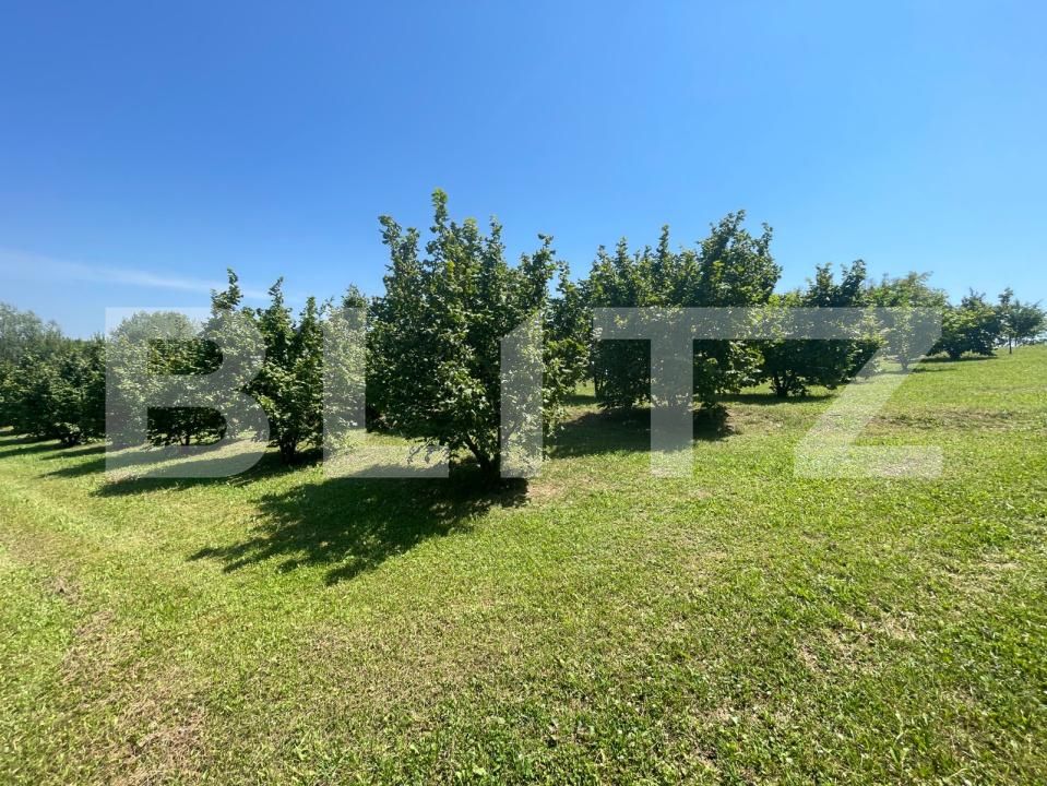 Spațiu comercial de vânzare Sud Est - 177538SVC | BLITZ Suceava | Poza18