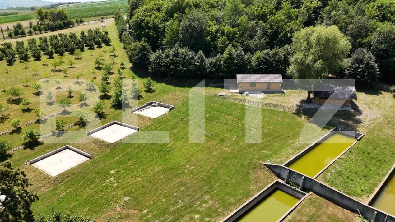 Spațiu comercial de vânzare Sud Est - 177538SVC | BLITZ Suceava | Poza11