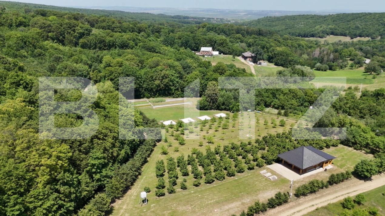 Spațiu comercial de vânzare Sud Est - 177538SVC | BLITZ Suceava | Poza2