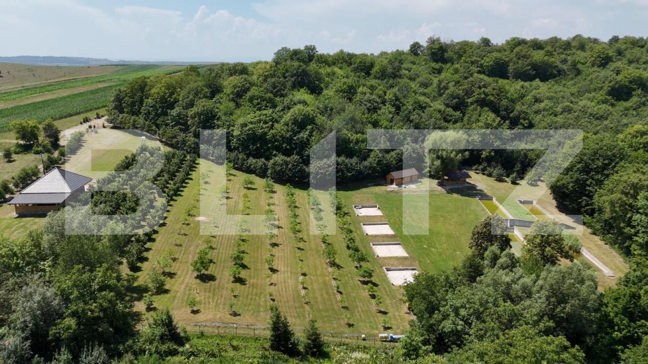 Spațiu comercial de vânzare Sud Est - 177538SVC | BLITZ Suceava | Poza3