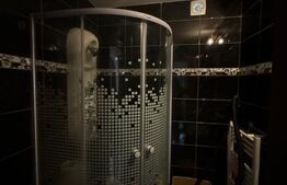 Apartament 4 camere, etaj intermediar, cartier Obcini