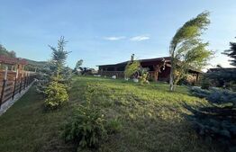 Cabana din lemn rotund, 2 camere, 140 mp, teren 2800 mp, Paltinoasa