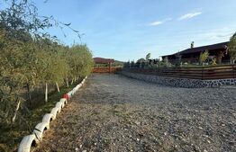 Cabana din lemn rotund, 2 camere, 140 mp, teren 2800 mp, Paltinoasa