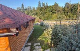 Cabana din lemn rotund, 2 camere, 140 mp, teren 2800 mp, Paltinoasa