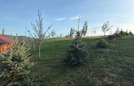 Cabana din lemn rotund, 2 camere, 140 mp, teren 2800 mp, Paltinoasa