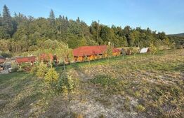 Cabana din lemn rotund, 2 camere, 140 mp, teren 2800 mp, Paltinoasa