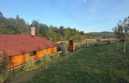 Cabana din lemn rotund, 2 camere, 140 mp, teren 2800 mp, Paltinoasa