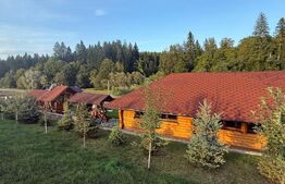 Cabana din lemn rotund, 2 camere, 140 mp, teren 2800 mp, Paltinoasa