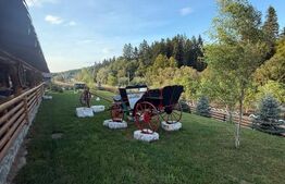 Cabana din lemn rotund, 2 camere, 140 mp, teren 2800 mp, Paltinoasa