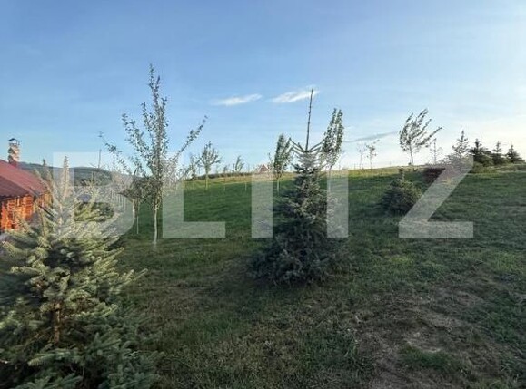Casa de vânzare 1 camera Vest - 177564CV | BLITZ Suceava | Poza16