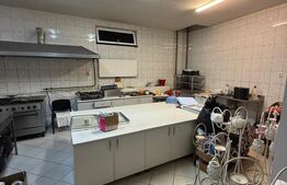 Spatiu multifunctional, 734 mp utili, teren 449 mp, Suceava