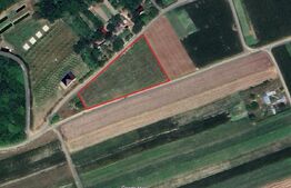 Teren de vânzare Exterior Vest - 189135TV | BLITZ Suceava | Poza3