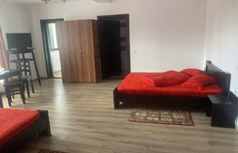 Vânzare pensiune/hotel  într-o zonă superbă din Poiana Negrii