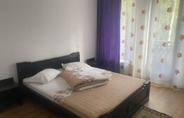 Vânzare pensiune/hotel  într-o zonă superbă din Poiana Negrii