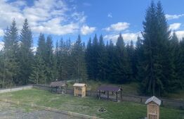 Vânzare vilă tip pensiune într-o zonă superbă din Poiana Negrii