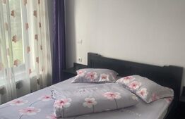 Vânzare pensiune/hotel  într-o zonă superbă din Poiana Negrii