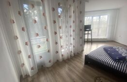 Vânzare pensiune/hotel  într-o zonă superbă din Poiana Negrii