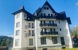 Vânzare pensiune/hotel  într-o zonă superbă din Poiana Negrii
