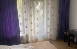 Vânzare pensiune/hotel  într-o zonă superbă din Poiana Negrii