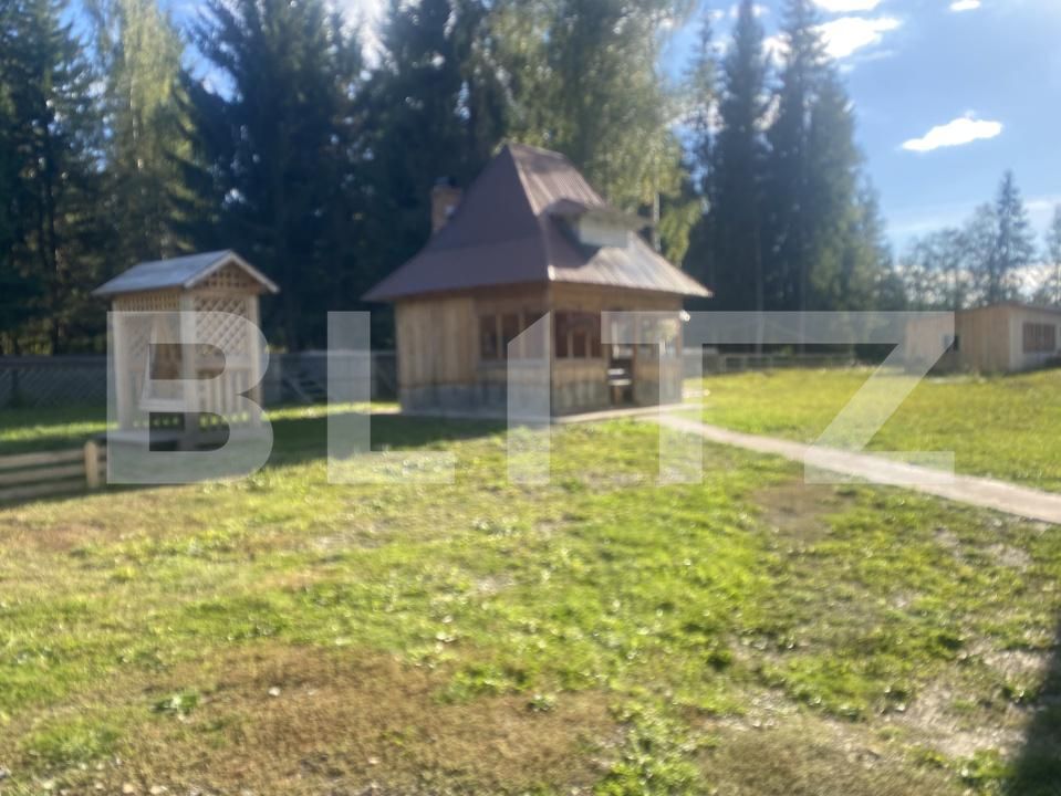 Spațiu comercial de vânzare George Enescu - 177965SVC | BLITZ Suceava | Poza21