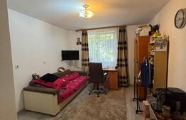 Microapartament cu 2 camere, 40 mp utili, zona Marasesti