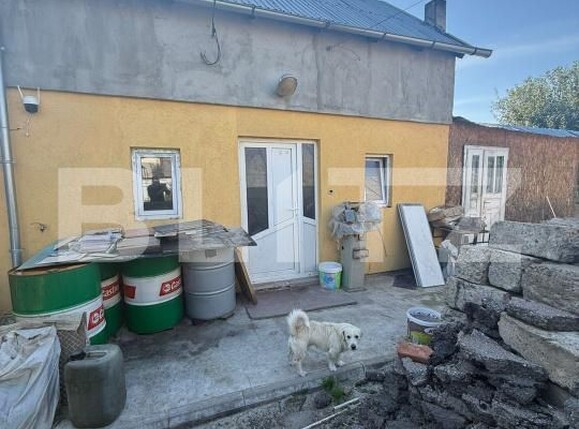 Casa de vânzare 3 camere Itcani - 178272CV | BLITZ Suceava | Poza12